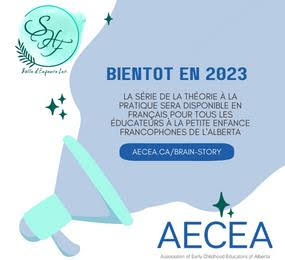 AECEA - De la théorie à la pratique